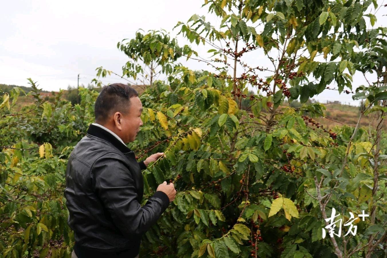 汕尾咖啡馆_咖啡馆位置_汕尾咖啡店